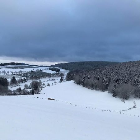 Appartement Familie Willems Winterberg 3 Zewnętrze zdjęcie