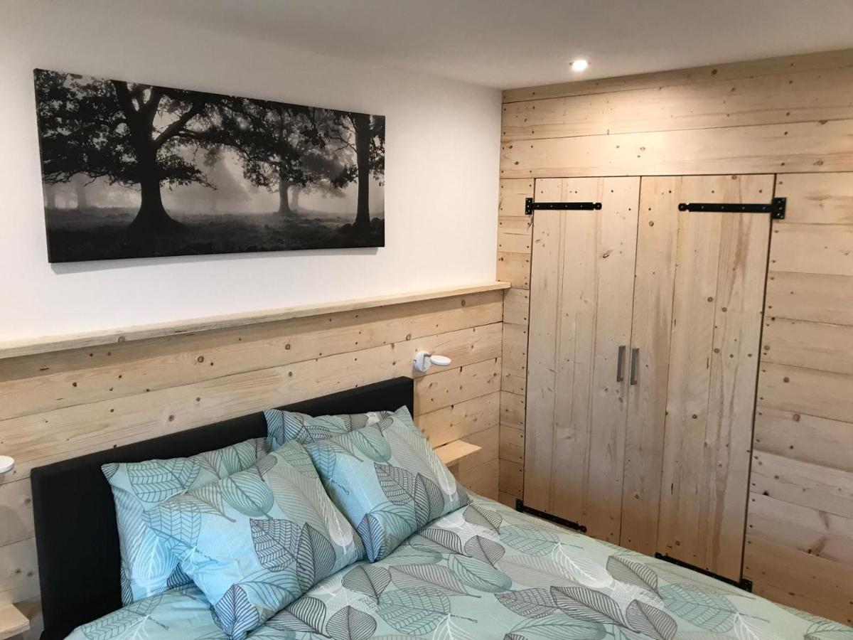 Appartement Familie Willems Winterberg 3 Zewnętrze zdjęcie