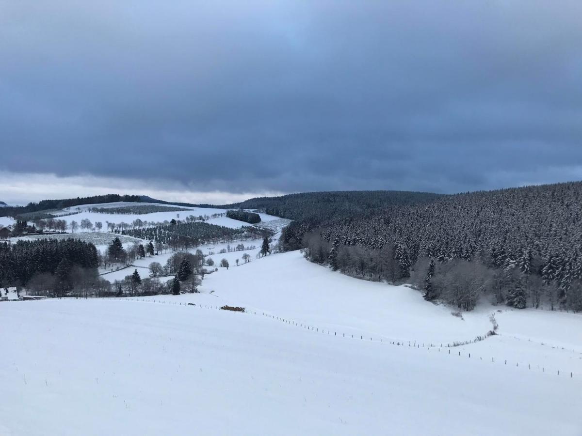 Appartement Familie Willems Winterberg 3 Zewnętrze zdjęcie