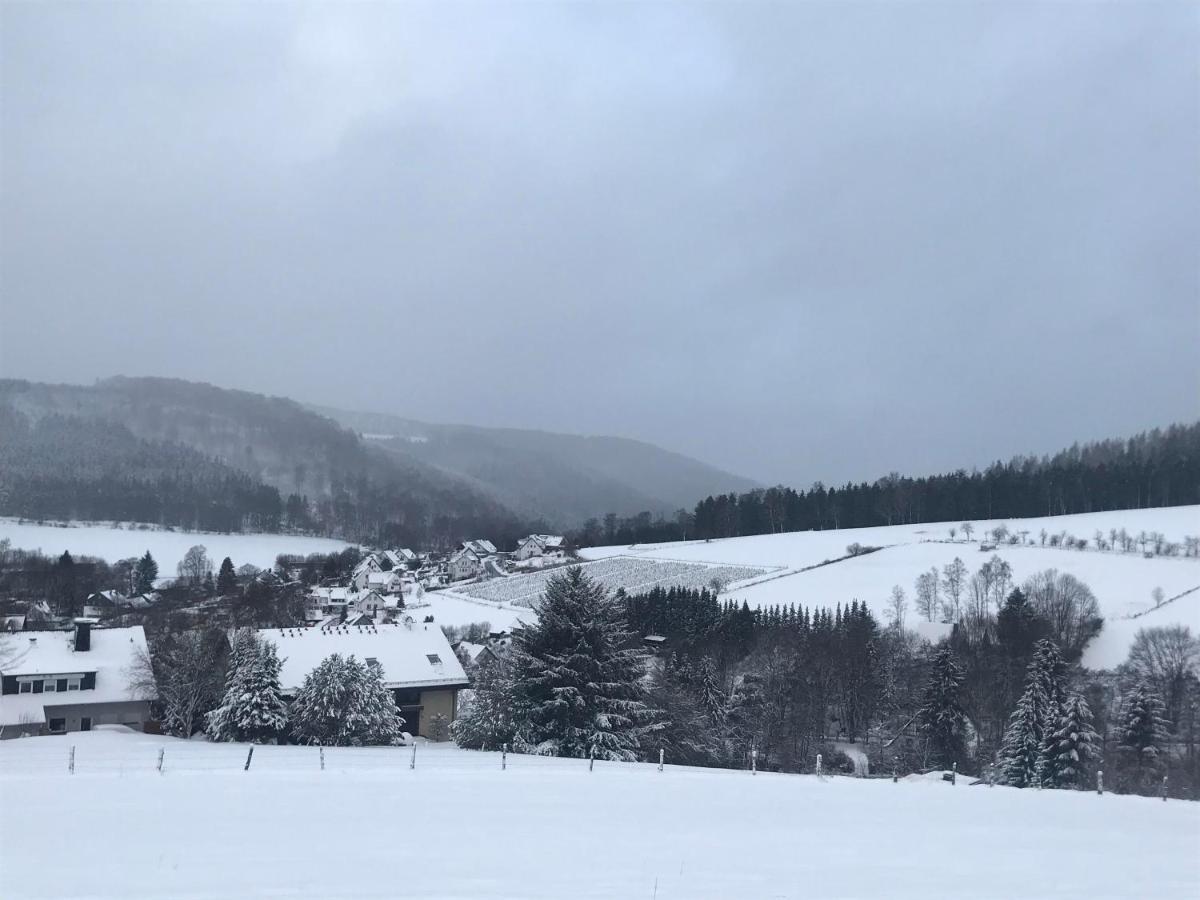Appartement Familie Willems Winterberg 3 Zewnętrze zdjęcie