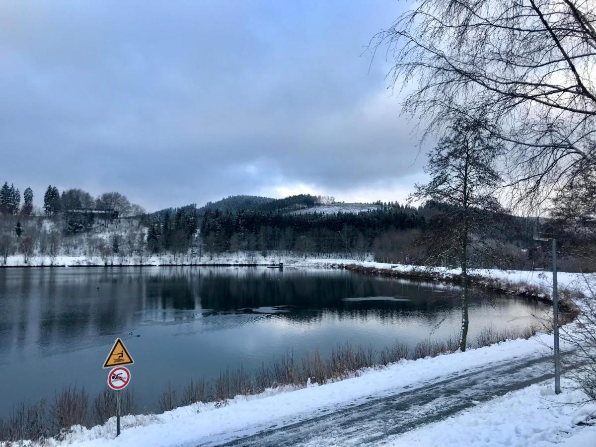 Appartement Familie Willems Winterberg 3 Zewnętrze zdjęcie